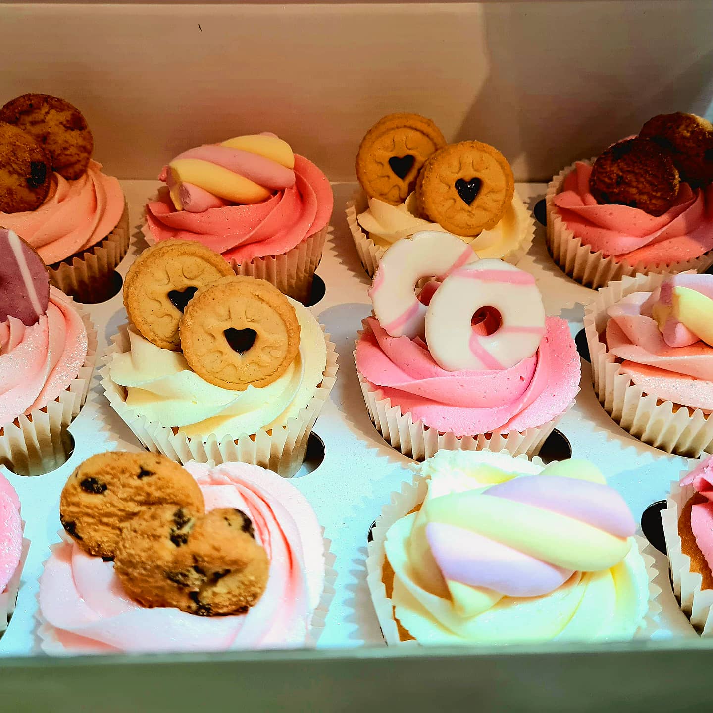 Mini Biscuit Selection Cupcakes (12)
